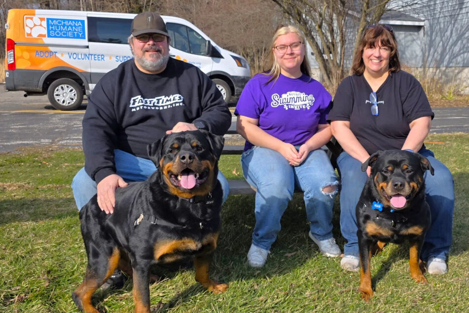 Rottweiler dog duo has trouble getting adopted – will they ever find a home?