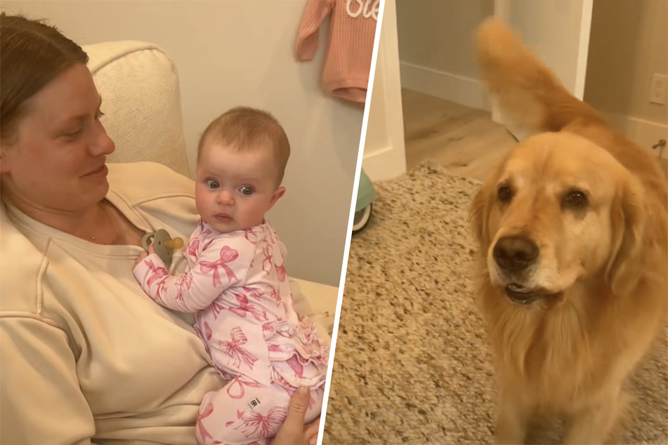 Monte the dog is less than enthusiastic about the new addition to the family.