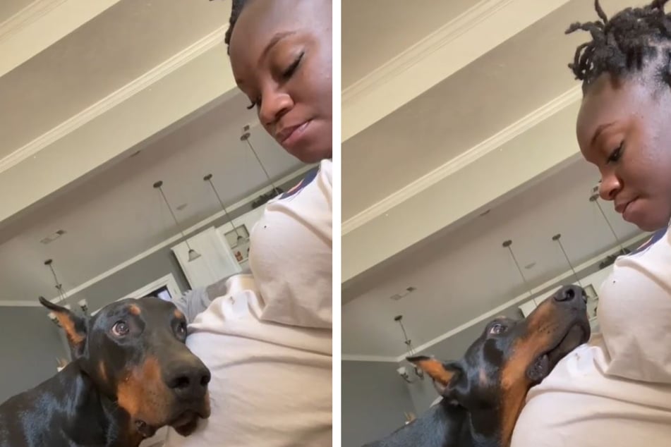 TikTok user are convinced these two are already best friends.