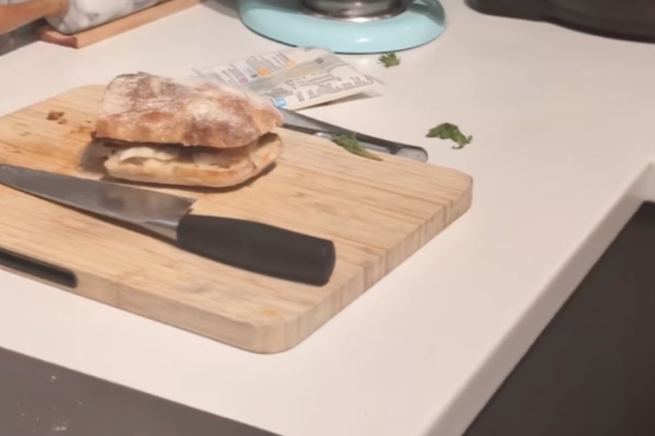 The object of the dog's desire was a sandwich left on the kitchen counter.