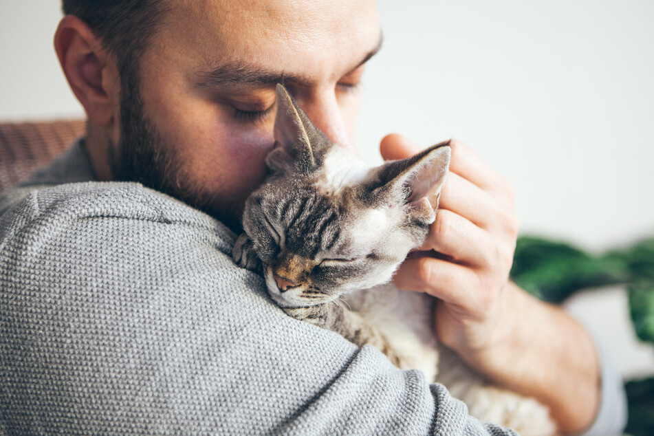 With good preparation, patience, and attention, you can do a lot to ensure that the missing cat returns home safely.