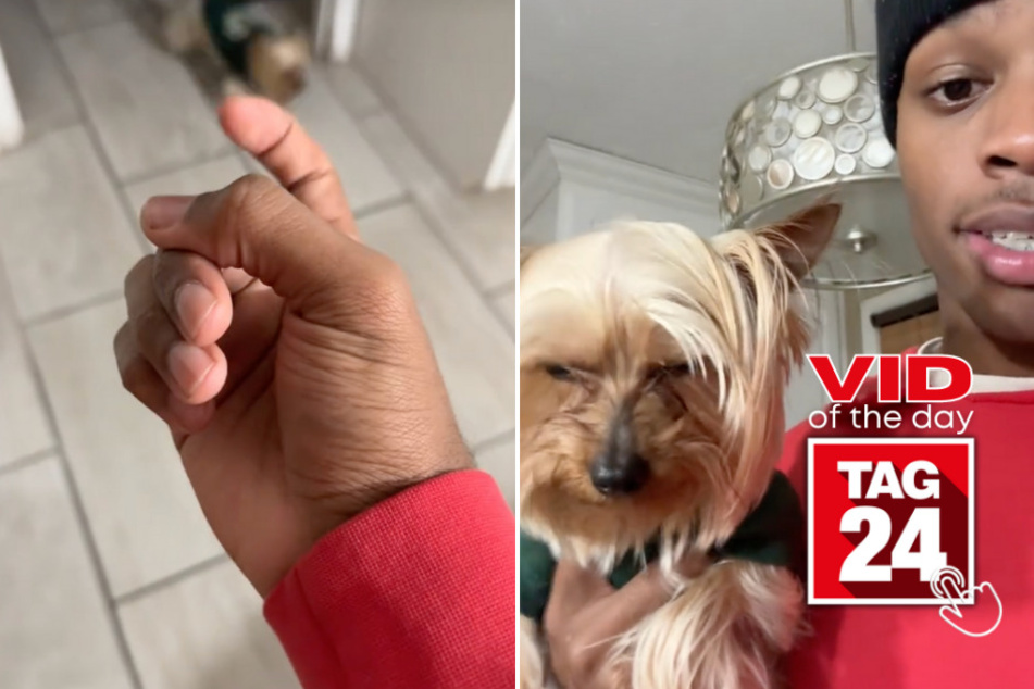 Viral Video of the Day for January 27, 2024: DIY ski mask is no match for sock-stealing pup!