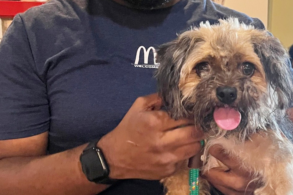 Man's reaction to finding long-lost dog has rescuers in tears