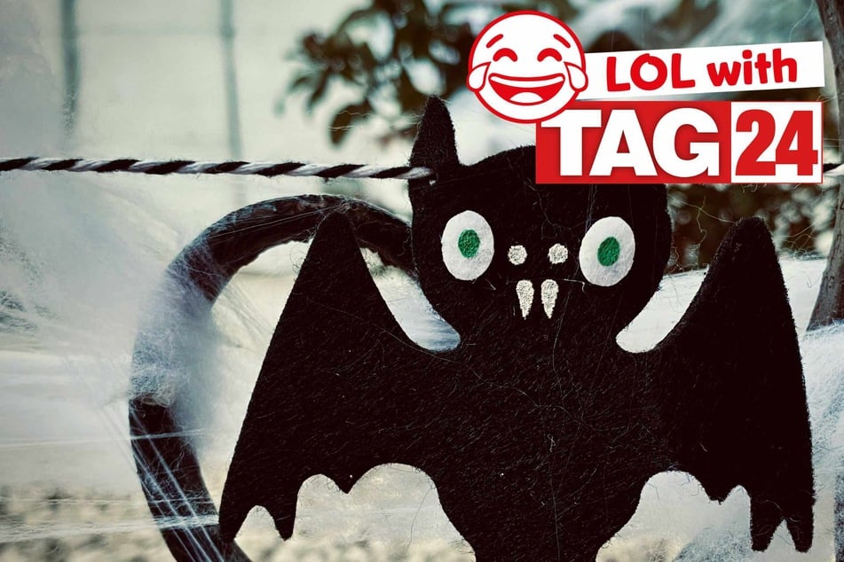Joke of the Day for October 26, 2025: A batty silly for Spooky Season fun