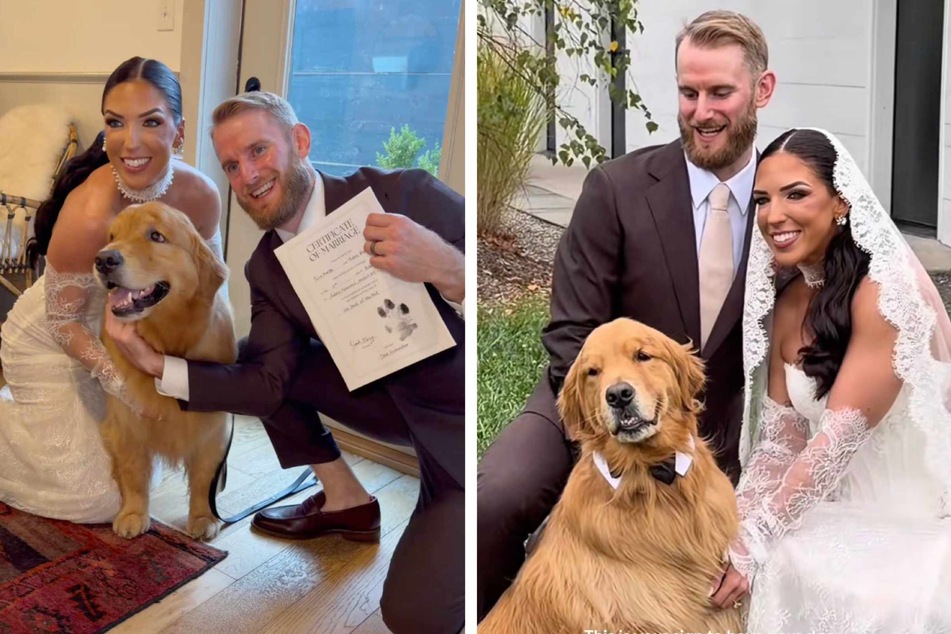 Dog is the "best boy" at his humans' wedding – and even signs the marriage license!