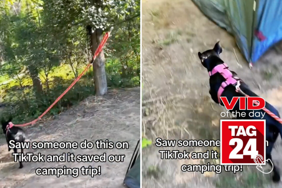 Viral Video of the Day for October 29, 2023: TikToker's genius hack for people who go camping with dogs