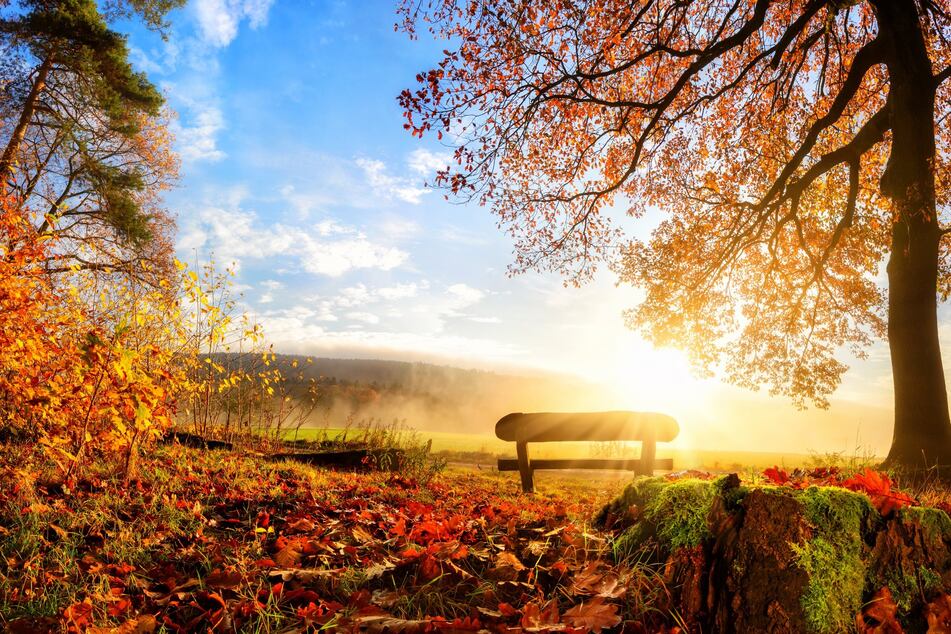 Autumn astrology: How to welcome fall according to your star sign