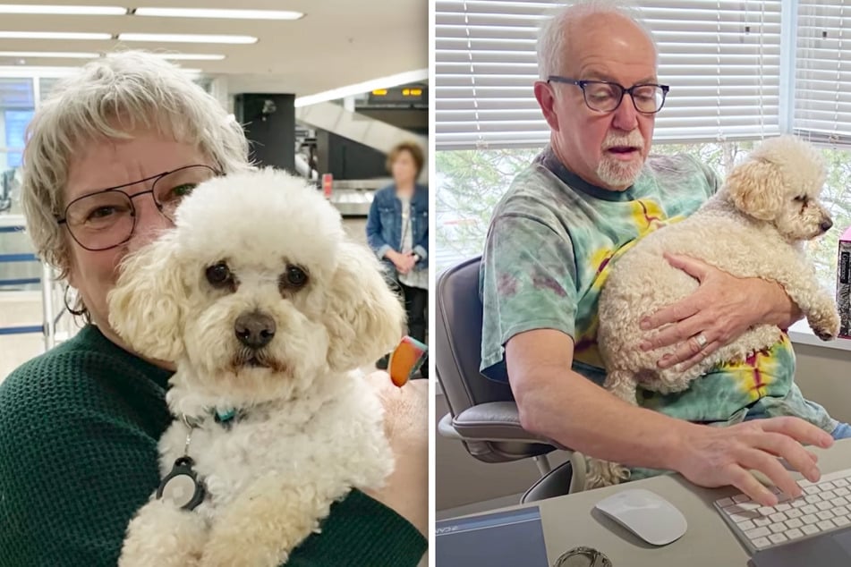 Lee (l) and Danny bonded immediately with Teddy, formerly known as Terry.