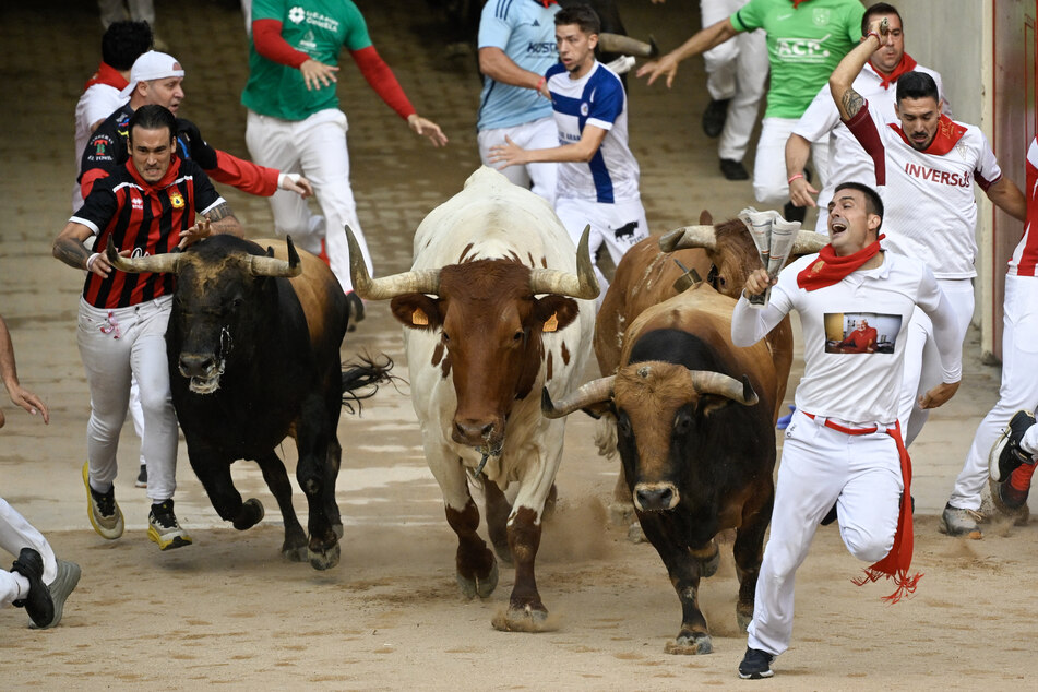Over 50 people gored or bruised during Spain's San Fermin bull runs