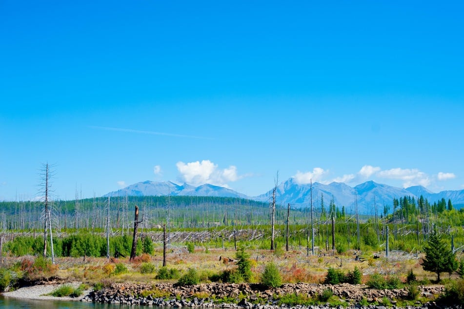 The mountains at Yellowstone National Park.