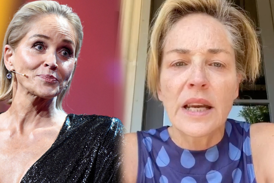 Sharon Stone's powerful words: "Only women in power will fight for coronavirus testing"