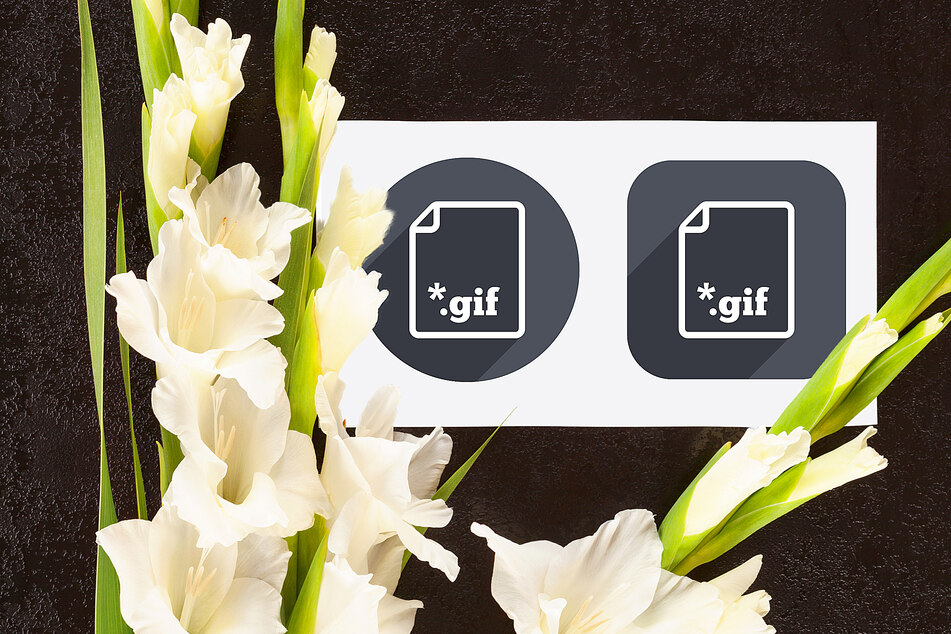 GIF creator and pioneer Stephen Wilhite sadly passes away