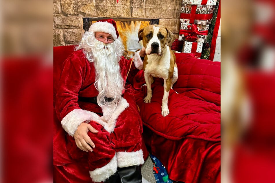 Two-year-old Walter has managed to keep his spirits up, despite his heartbreaking twist of fate.