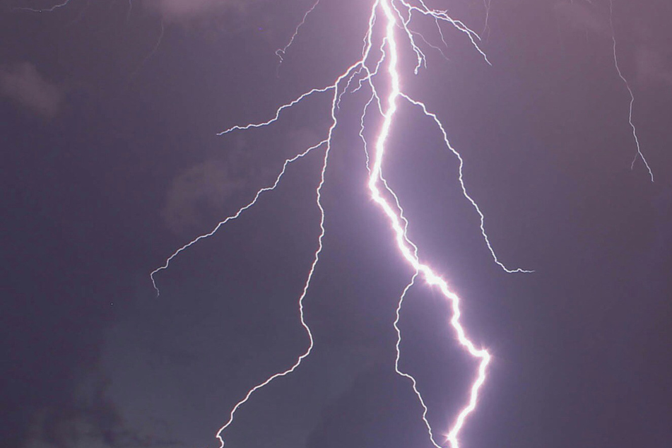 Teenager struck by lightning in Central Park as storm pounds New York