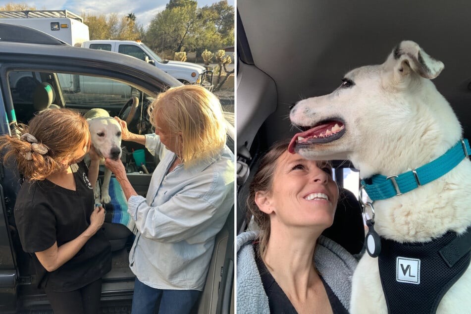 Local residents and animal rescuers said the dog "brought people together who would otherwise never have met."