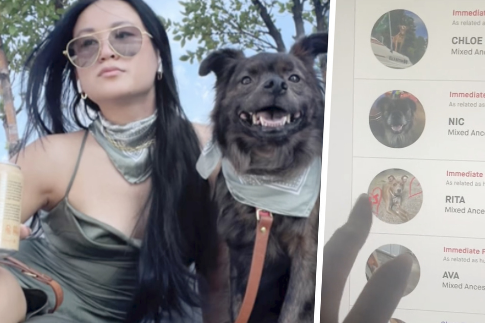 Dog's startling DNA test results makes his owner shed happy tears