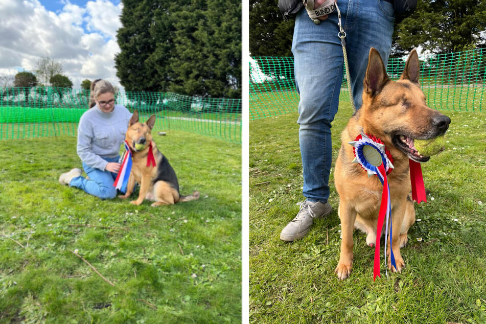 This blind dog's luck has finally changed for the better!