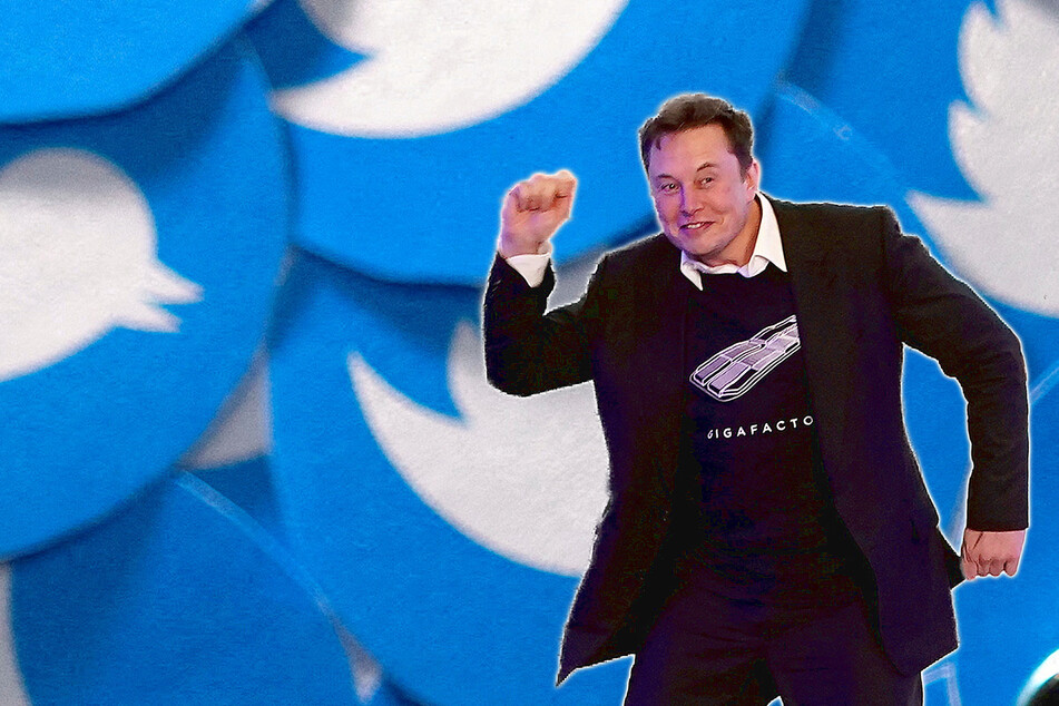 Elon Musk dodges grilling from Twitter employees in town hall