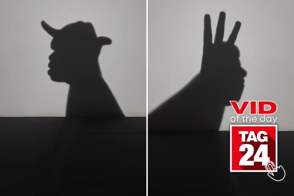 Viral Video of the Day for May 28, 2023: Mesmerizing TikTok shadow puppets