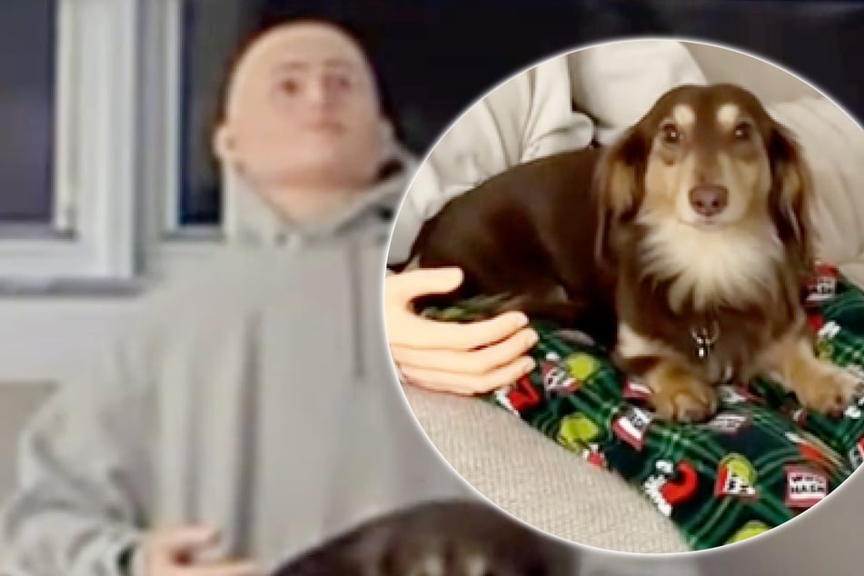 Dog with separation anxiety gets emotional support mannequin, and viewers are terrified