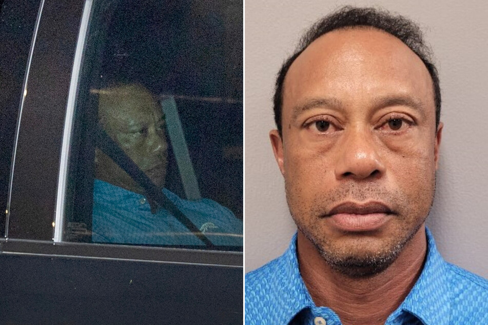 Golf champion Tiger Woods was arrested last week on suspicion of a DUI after crashing his car in Florida.