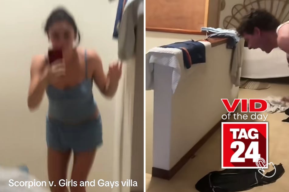 Viral Video of the Day for August 7, 2026: Vacation villa turns into horror movie after scorpion surprise!