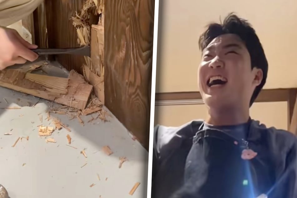 Sunny Song broke the wall – and discovered the sick kitten!