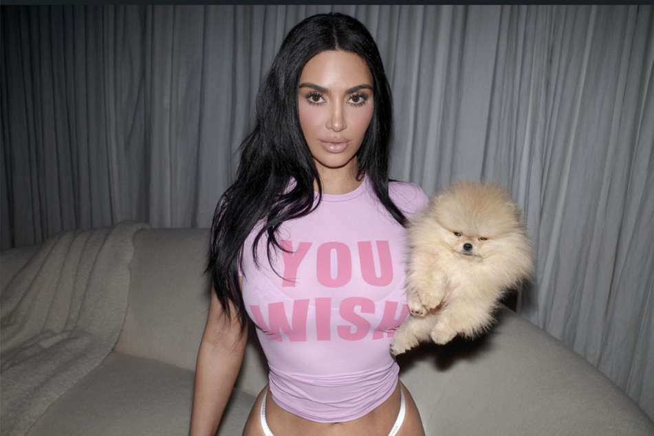 Wearing skimpy underwear and a see-through pink t-shirt, the 45-year-old appeared with one of her new Pomeranian puppies.