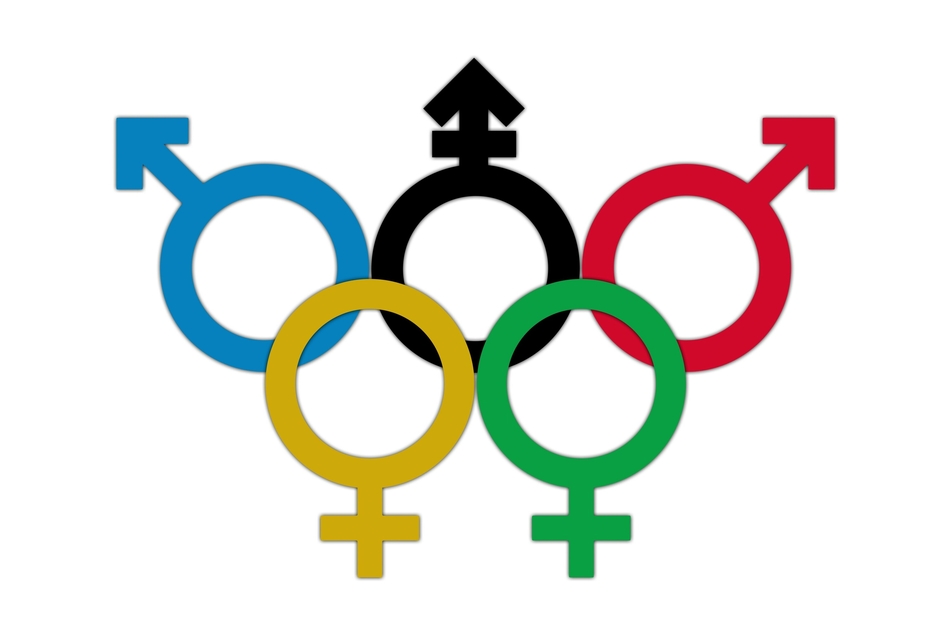 Team USA will have nine openly gay athletes representing this year.