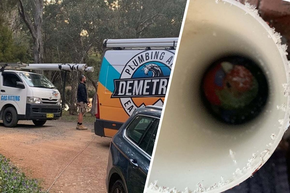 Plucky plumbers save parakeet stuck in a pipe!