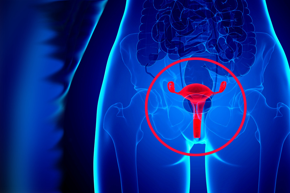Woman with two vaginas and two wombs shares her experiences