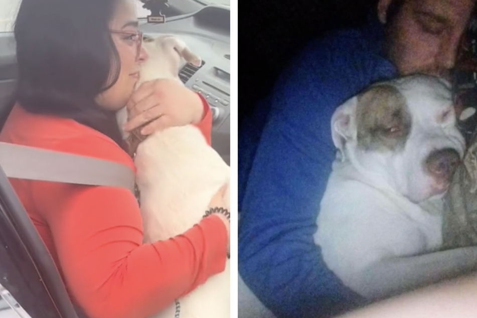 After almost two years of searching, Leon the dog has been reunited with his family.