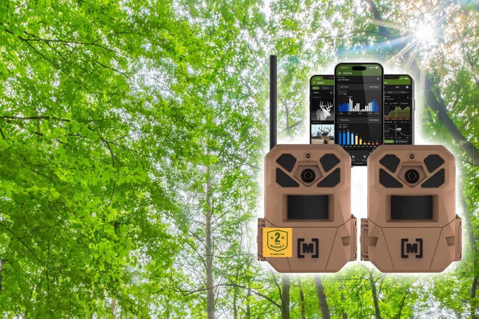 Get ready for bow hunting season with 45% off trail cameras at walmart on Monday, September 14