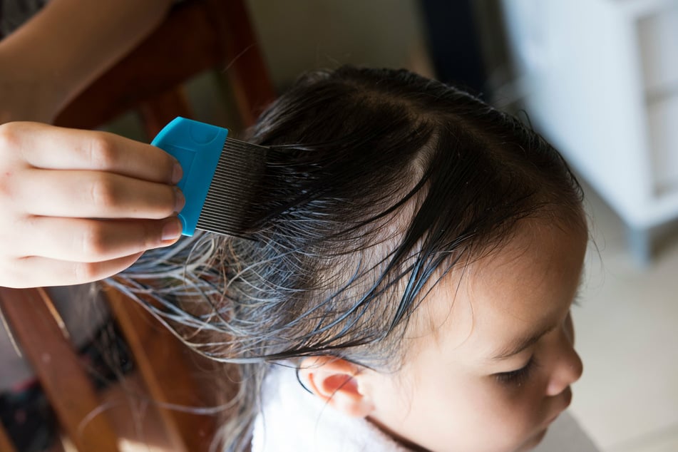 Using a specialized nit comb is incredibly helpful for getting rid of head lice.