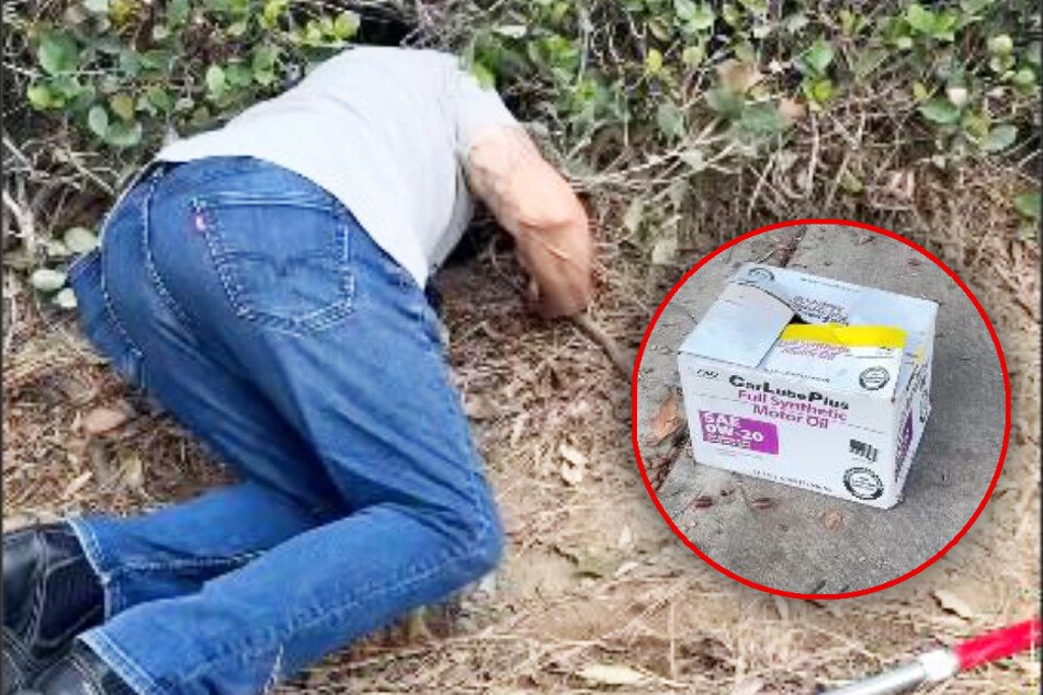 Abandoned kittens get roadside assistance in lucky second chance