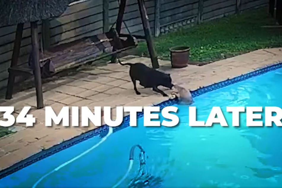 Half an hour later, Chuck was rescued.