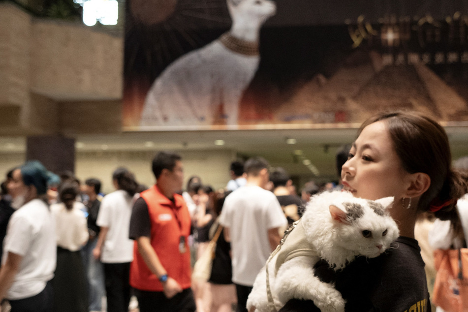 Cats welcomed into Ancient Egypt exhibition for a night at the "meowseum"