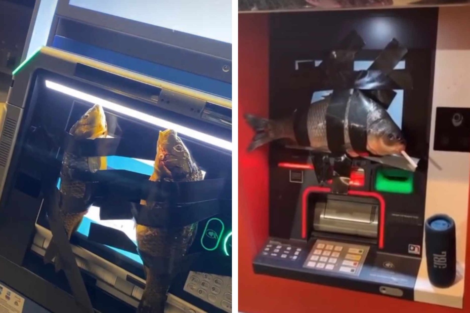 Utah teen faces charges after allegedly taping dead fish to ATMs and cop cars