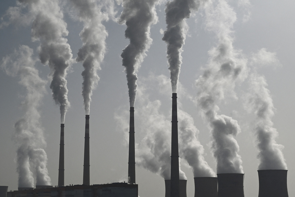 None of the eight fossil fuel companies included in Net Zero Tracker's report were found to have a net-zero target (file photo).