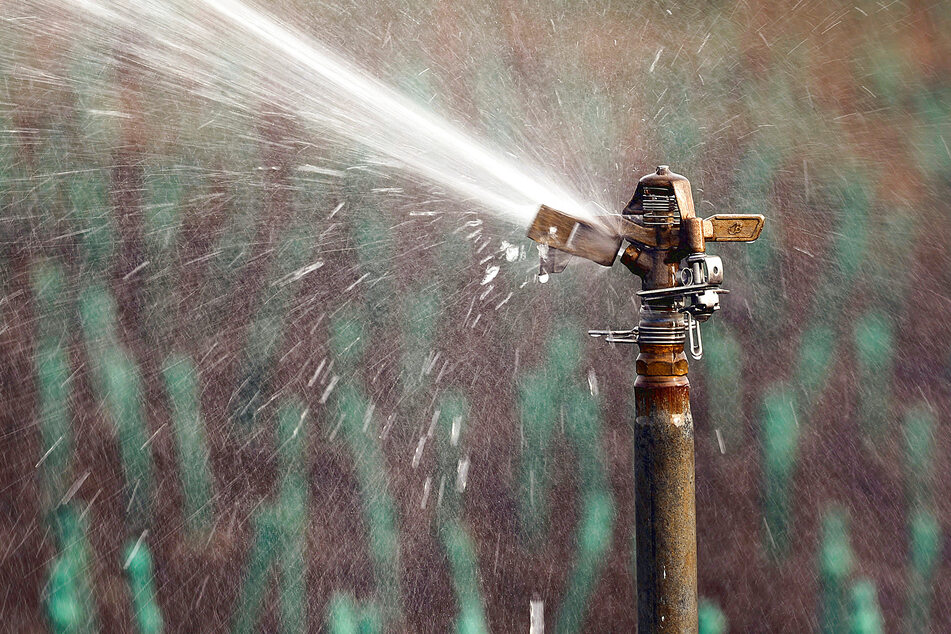 Getting hot to cool down the earth: Three ways to make climate action sexy