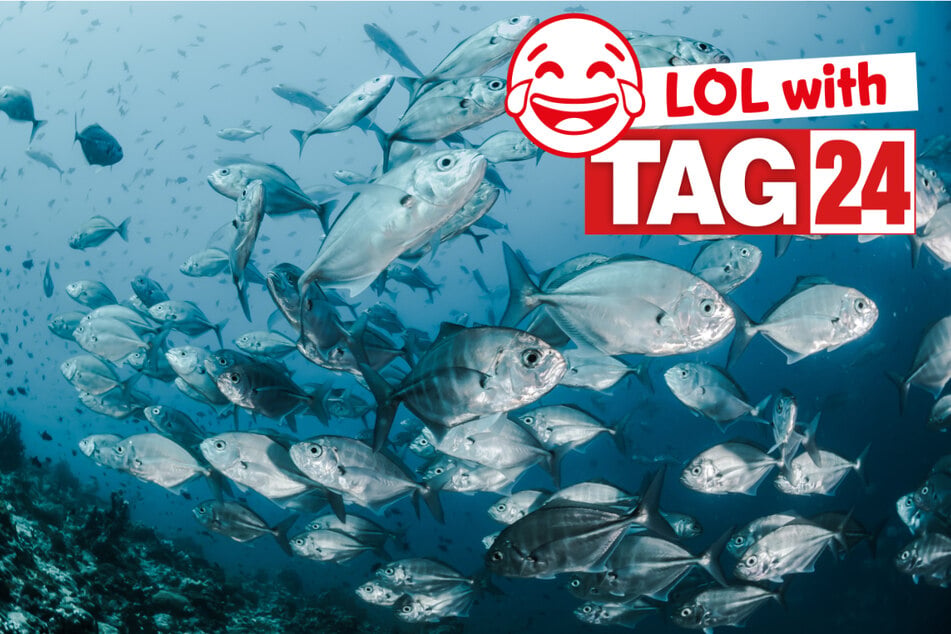 Today's Joke of the Day is making a splash!