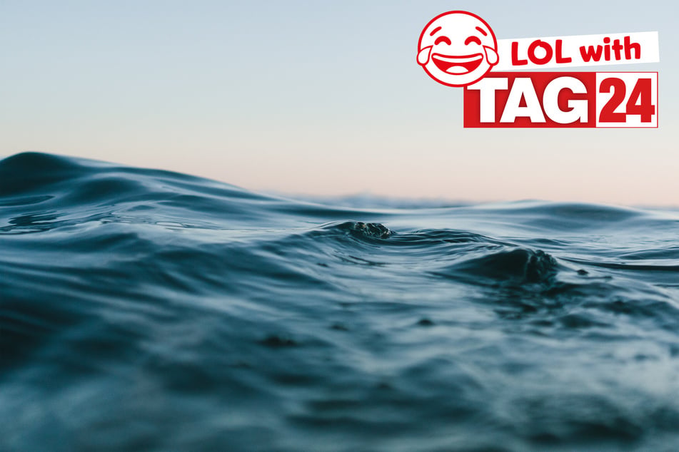 Today's Joke of the Day is swimming in funny.