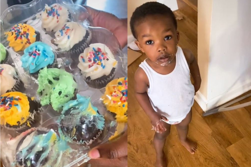 Cupcake caper: little boy insists he didn't steal the sweets, despite evidence to the contrary