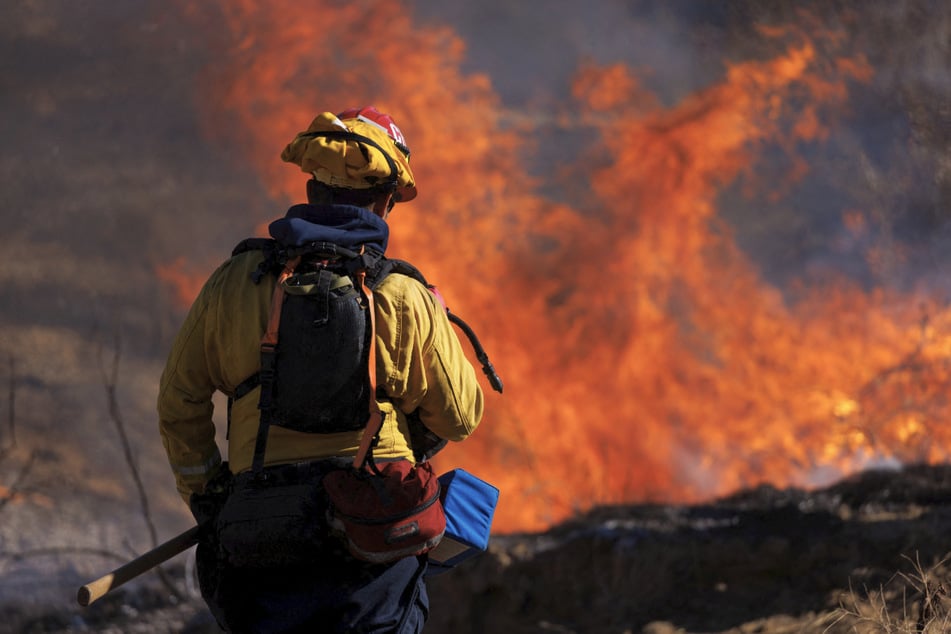Wildfires in the US and Canada have released enormous amounts of carbon dioxide into the atmosphere.