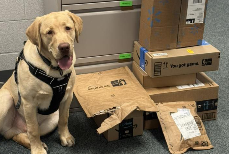 After the viral post, the doggy "suspect" received a lot of public support: numerous people sent toys and treats to the office.