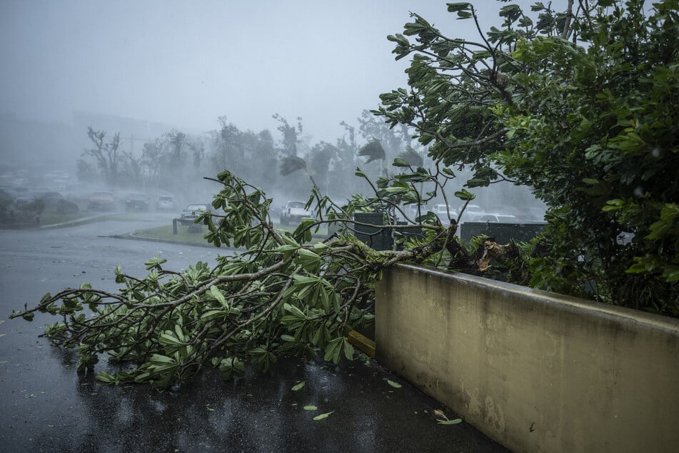 A fallen tree lies on the ground after being knocked down by strong winds brought by Super Typhoon Bavi in Guam on July 6, 2026.