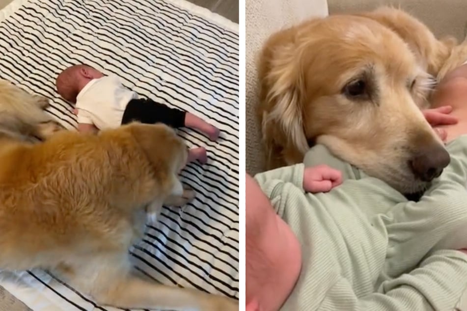 Riley and baby Rhett have been a loveable TikTok twosome for a month, and gone viral with millions of clicks on their videos.