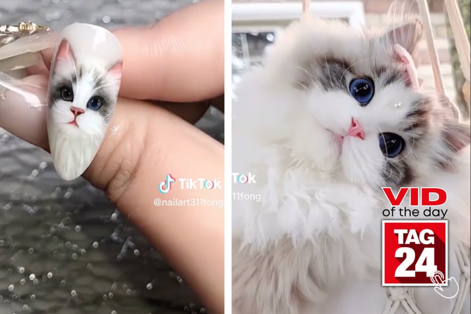Viral Video of the Day for April 1, 2023: Kitty nail art!