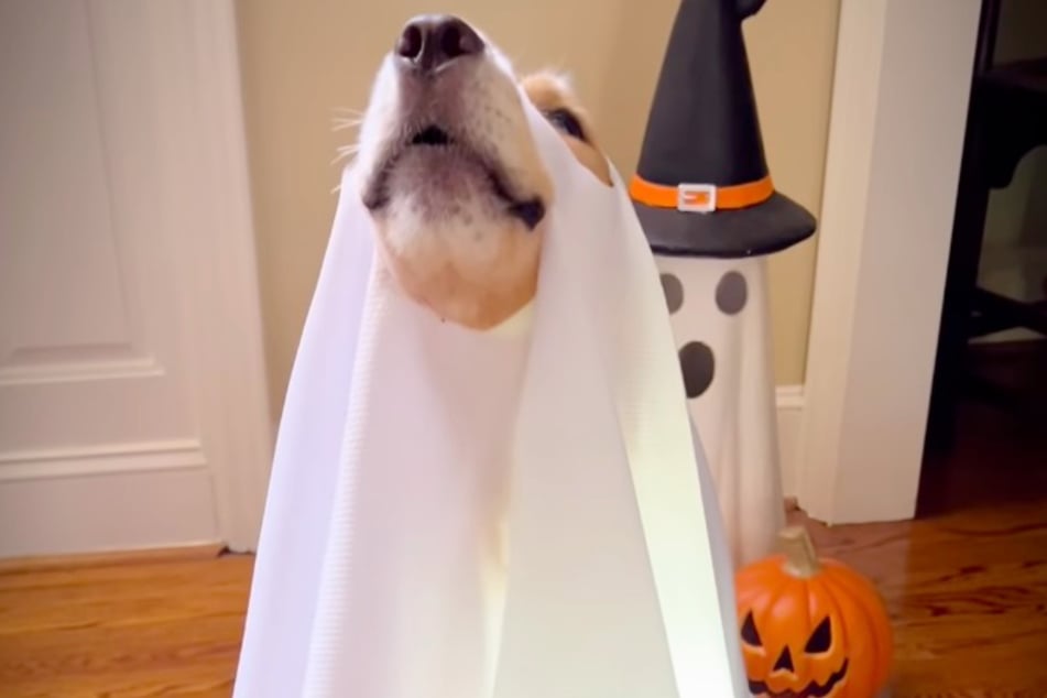 Sunday plays her role perfectly. Unfortunately, she’s now truly a ghost.