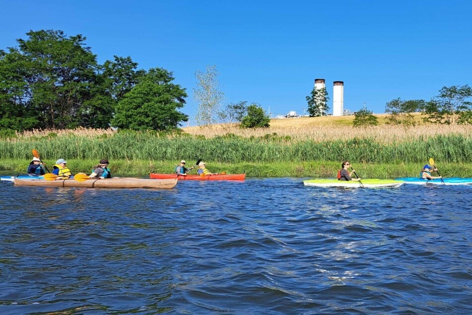 A Kayak tour in the waterways of Freshkills Park and the William T. Davis Wildlife Refuge.